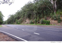 717298893 | 게티이미지코리아 | Empty Road Along Trees Royalty-Free 이미지