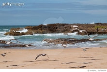 717306685 | 게티이미지코리아 | Scenic View Of Beach Against Sky Royalty-Free 이미지