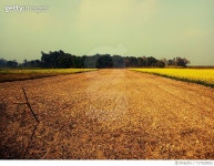 717329053 | 게티이미지코리아 | Scenic View Of Agricultural Field Against Sky Royalty-Free 이미지