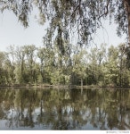 717334029 | 게티이미지코리아 | Reflection Of Trees In Water Royalty-Free 이미지