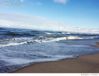 717336021 | 게티이미지코리아 | Scenic View Of Beach Against Sky Royalty-Free 이미지