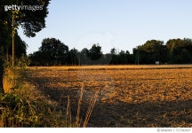 717342627 | 게티이미지코리아 | Scenic View Of Field Against Clear Sky Royalty-Free 이미지