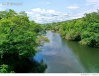 717363129 | 게티이미지코리아 | Scenic View Of Trees Against Cloudy Sky Royalty-Free 이미지