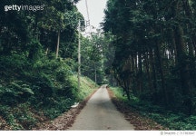 717383647 | 게티이미지코리아 | Road Amidst Trees Against Sky Royalty-Free 이미지
