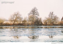 717397259 | 게티이미지코리아 | Scenic View Of Lake Against Clear Sky During Winter Royalty-Free 이미지