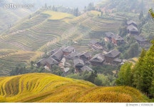 653968238 | 게티이미지코리아 | Longji Terrace in Guangxi,China Royalty-Free 이미지