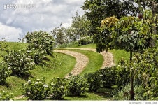 669811068 | 게티이미지코리아 | The winding rural road Royalty-Free 이미지