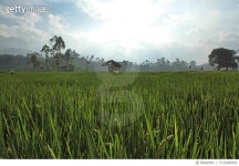 711949001 | 게티이미지코리아 | Travel POV  Royalty-Free 이미지