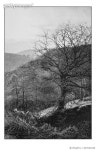 667043438 | 게티이미지코리아 | Antique photo of paintings: Landscape in autumn Royalty-Free 이미지