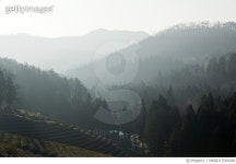 MKND17000006 | 게티이미지코리아 | 보성군,전남 Rights-Managed 이미지