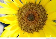 716596199 | 게티이미지코리아 | Earth Day Royalty-Free 이미지