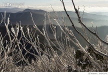 643662476 | 게티이미지코리아 | Mount Hotham alpine area. Royalty-Free 이미지