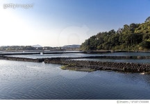 SFURF17000088 | 게티이미지코리아 | 올레길, 오조포구, 성산읍, 서귀포시, 제주도 Royalty-Free 이미지