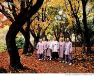 MIWA17000830 | 게티이미지코리아 | 전북 고창군 아산면 도솔길 선운산 Rights-Managed 이미지