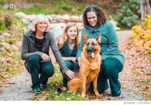 675330656 | 게티이미지코리아 | Fun with the Dog Women Together with German Shepherd Dog Royalty-Free 이미지