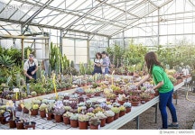 680050970 | 게티이미지코리아 | Workers examining plants at plant nursery Royalty-Free 이미지