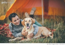 687160118 | 게티이미지코리아 | One beautiful day with my dog! Royalty-Free 이미지