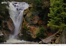 720014747 | 게티이미지코리아 | Close-Up Of Waterfall Along Trees Royalty-Free 이미지