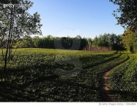 720018859 | 게티이미지코리아 | Scenic View Of Grassy Field Against Blue Sky Royalty-Free 이미지