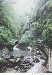 720033455 | 게티이미지코리아 | Stream Amidst Trees Royalty-Free 이미지