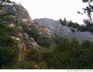 720035055 | 게티이미지코리아 | Low Angle View Of Tree Mountains Against Sky Royalty-Free 이미지