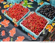 720117087 | 게티이미지코리아 | Fruits At Market Stall For Sale Royalty-Free 이미지