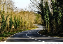 720148795 | 게티이미지코리아 | Road Amidst Trees Against Sky Royalty-Free 이미지