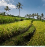 720153715 | 게티이미지코리아 | Scenic View Of Agricultural Field Against Sky Royalty-Free 이미지