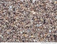 722307631 | 게티이미지코리아 | Full Frame Image Of Sea Shells Royalty-Free 이미지