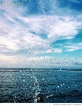 722333925 | 게티이미지코리아 | Scenic View Of Sea Against Cloudy Sky Royalty-Free 이미지