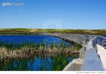 722345523 | 게티이미지코리아 | Scenic View Of Landscape Against Blue Sky Royalty-Free 이미지