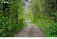 722410061 | 게티이미지코리아 | Road Amidst Trees Royalty-Free 이미지