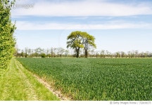 722410173 | 게티이미지코리아 | Scenic View Of Agricultural Field Against Sky Royalty-Free 이미지