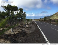 722413765 | 게티이미지코리아 | Empty Road With Trees In Background Royalty-Free 이미지