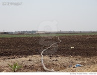 724331629 | 게티이미지코리아 | Scenic View Of Field Against Clear Sky Royalty-Free 이미지