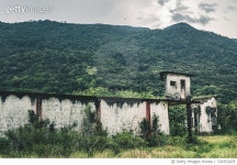 724352925 | 게티이미지코리아 | Low Angle View Of Ivy On Built Structure Royalty-Free 이미지