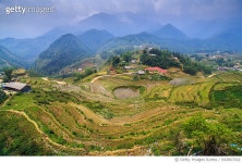 643067432 | 게티이미지코리아 | Rice terraces in Sapa, Vietnam Royalty-Free 이미지