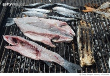 670342086 | 게티이미지코리아 | sardines Roasting On Barbeque Grill Royalty-Free 이미지