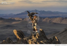 674708548 | 게티이미지코리아 | Kazakh golden eagle hunter on Altai mountains, Mongolia Royalty-Free 이미지