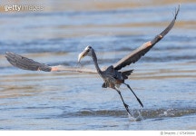 675458004 | 게티이미지코리아 | In Flight Meal Royalty-Free 이미지