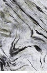 683129424 | 게티이미지코리아 | Close-up of Driftwood on Pacific Ocean Coast Royalty-Free 이미지