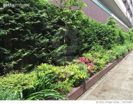 725734309 | 게티이미지코리아 | Green/Sustainable Living Royalty-Free 이미지