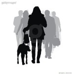 680311920 | 게티이미지코리아 | Walking The Dog Urban Royalty-Free 이미지