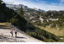 알피에스오스트레일리아웨스트피티와이엘티디 | 682431652 | 게티이미지코리아 | Hikers on trail in Austrian Alps Rights-Managed 이미지