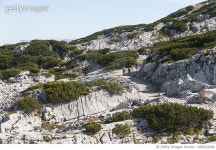 알피에스오스트레일리아웨스트피티와이엘티디 | 682432044 | 게티이미지코리아 | Hikers on trail in Austrian Alps Rights-Managed 이미지