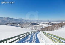 MLUD17000612 | 게티이미지코리아 | 강원도 평창 양떼목장의 설경 Rights-Managed 이미지