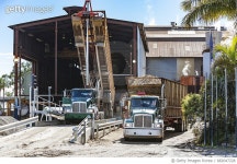 682047228 | 게티이미지코리아 | Semi Trailer Truck Delivering Harvested Sugar Cane Royalty-Free 이미지