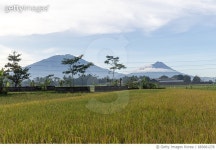 683681278 | 게티이미지코리아 | The volcanoes Merabu (left) and Merapi (right) Royalty-Free 이미지