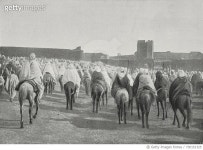 730151325 | 게티이미지코리아 | De Agostini / Biblioteca Ambrosiana Rights-Managed 이미지