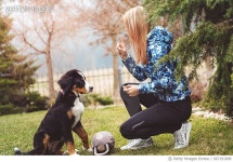 667191890 | 게티이미지코리아 | An Obeying Dog With A Beautiful Young Lady Royalty-Free 이미지